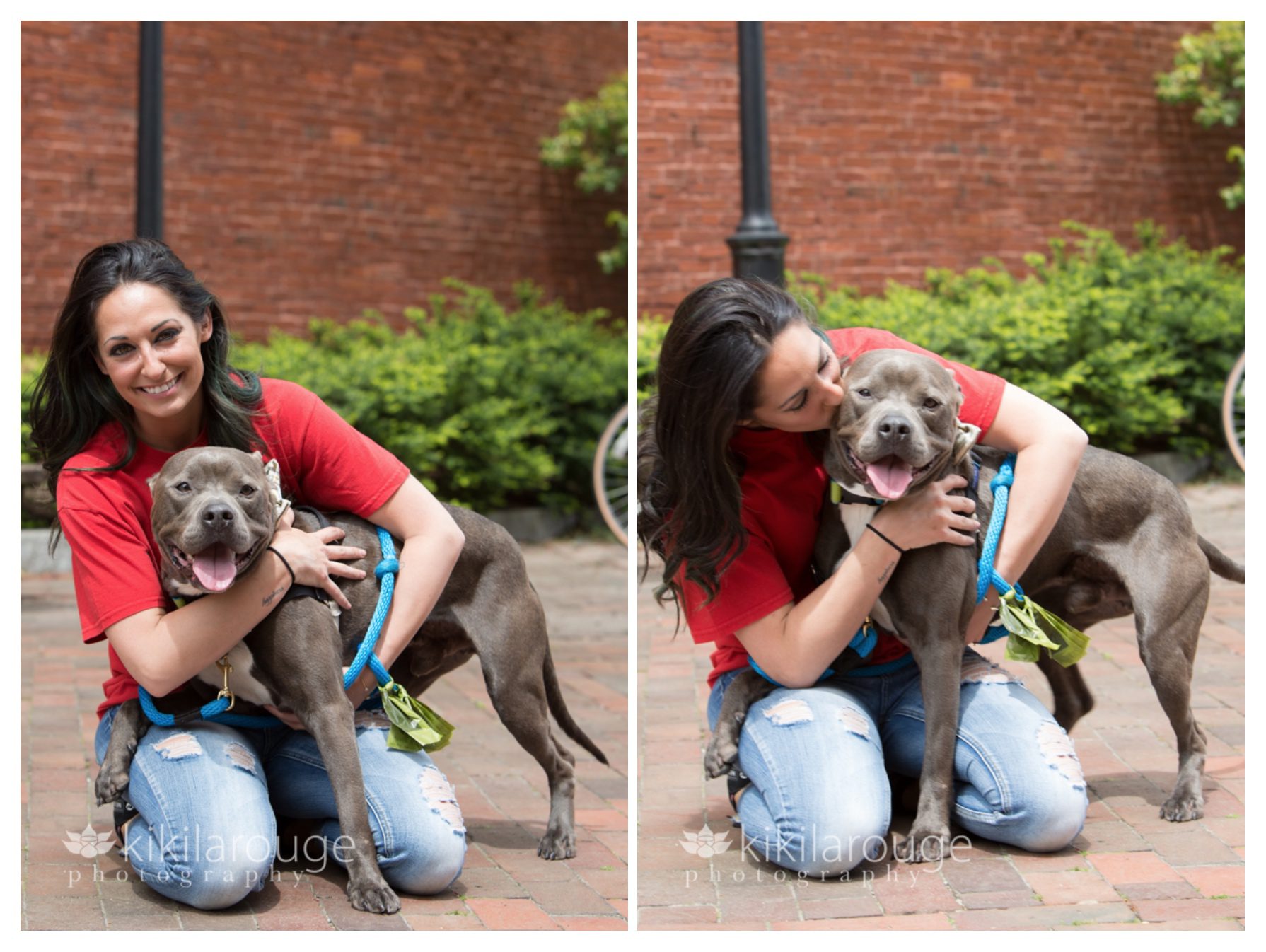 Boston Dog Photographer Last Hope K9 at Just Dogs Newburyport » Kiki Larouge Photography